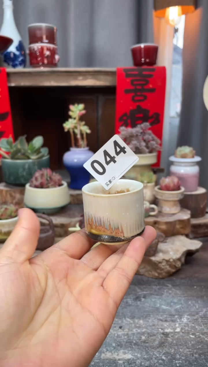【闪购商品】摆件044小芳知木花盆编号