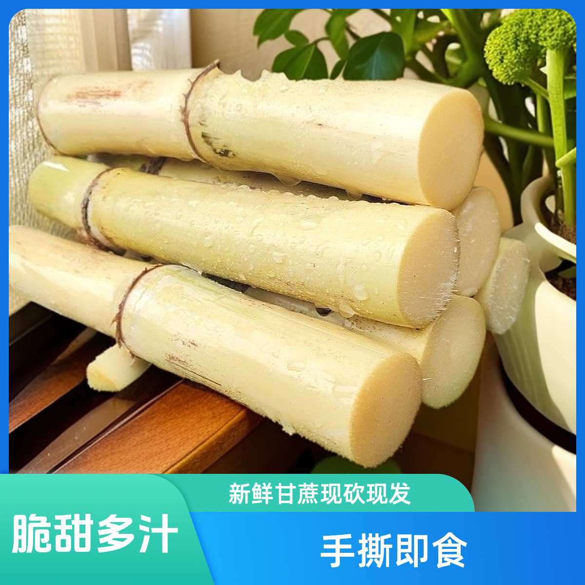 【限量活动不等人/库存有限/】广西特产木格白玉甘蔗中段整箱产地