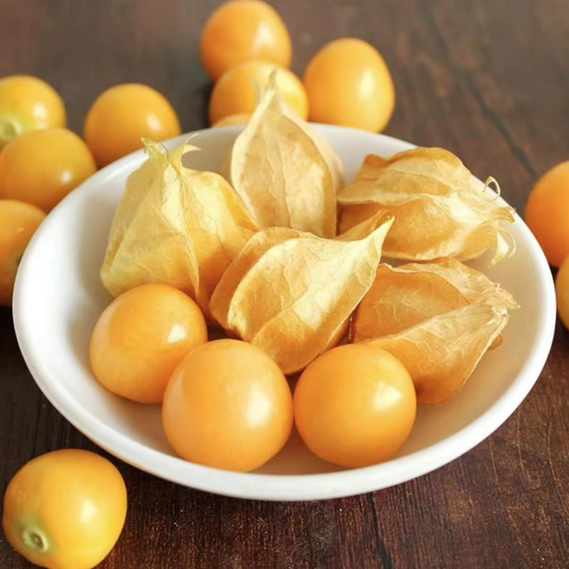 菇娘果之乡黑龙江拜泉菇娘果灯笼果新鲜采摘东北黑土地种植