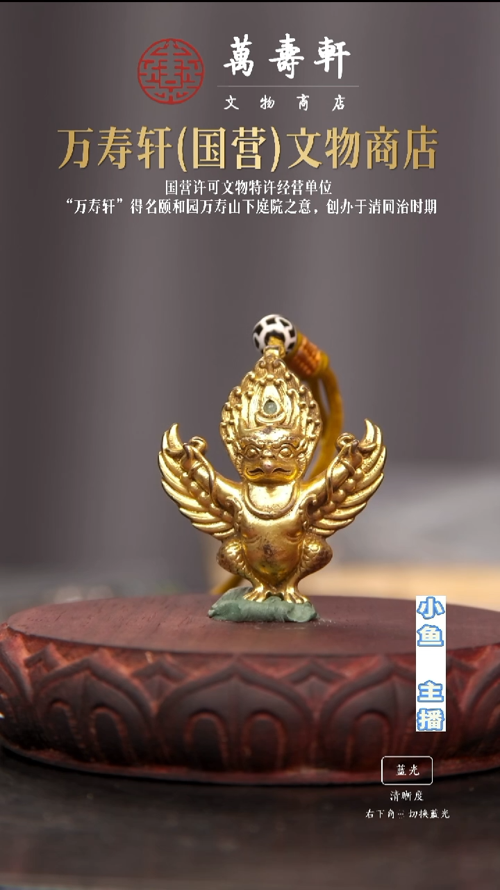 铜w*n大鹏鸟1111111111111