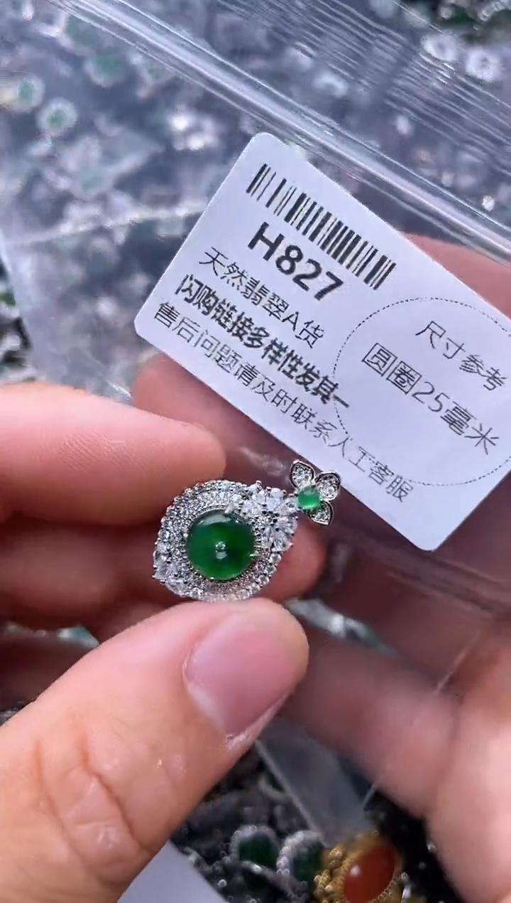 【闪购商品】翡翠颈饰未镶嵌H827吊坠