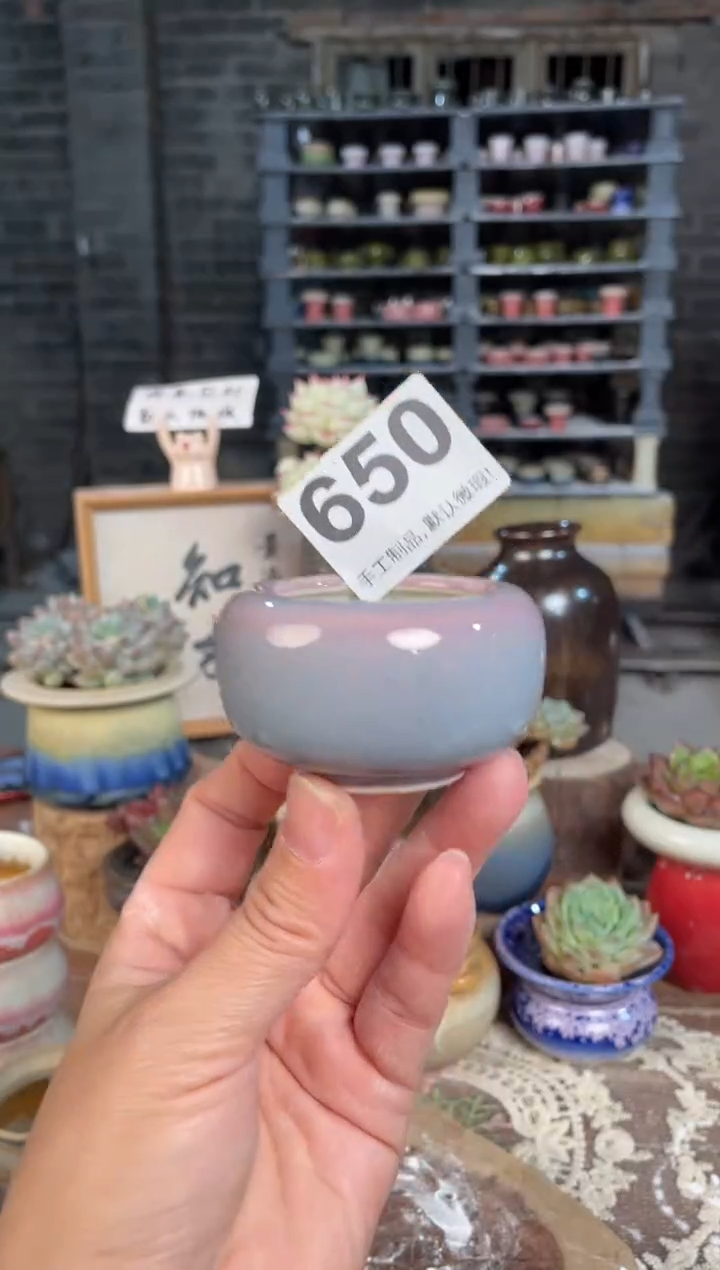 瓷片650知木小芳花盆