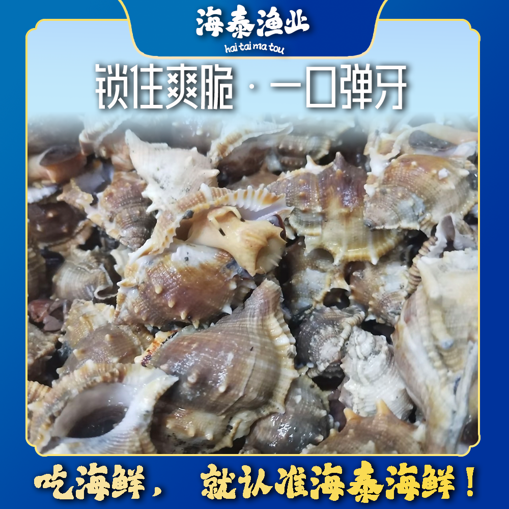 【细细粒专属】【刺螺】海泰码头 深海捕捞 鲜活速冻 锁鲜冷链到家