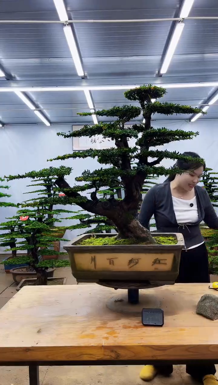 无花朵一物一拍，所见即所得