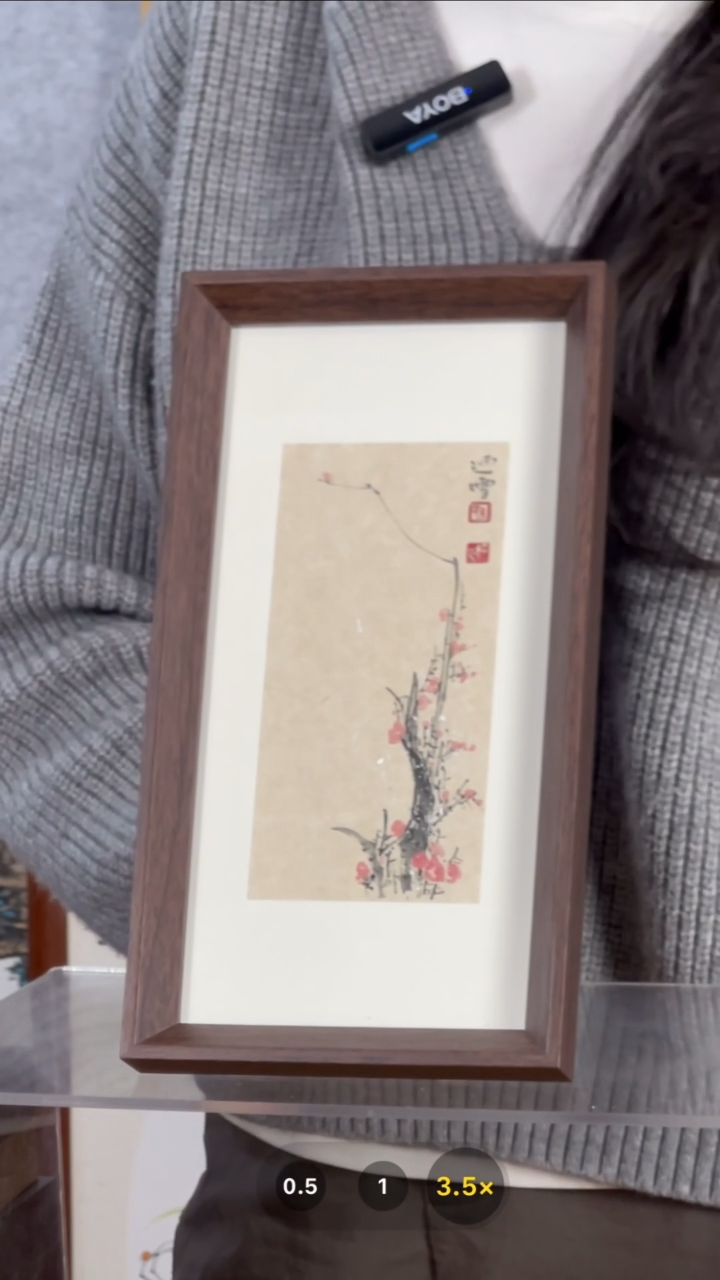 【闪购商品】书法【梅花】迎雪27*14