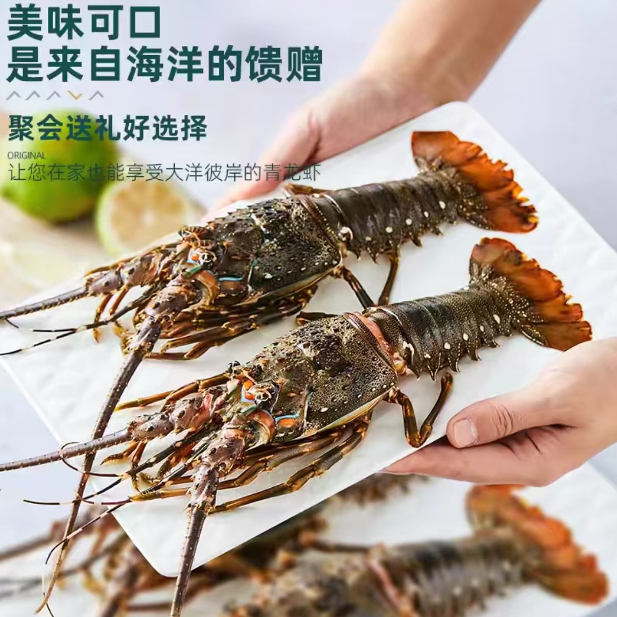 小青龙龙虾鲜活速冻花龙虾200-300g 楼下
