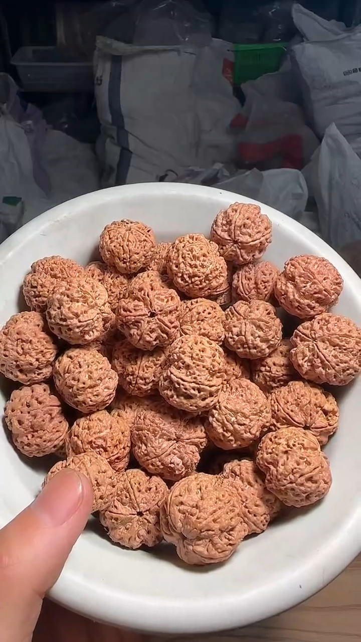 金刚菩提手串非全品大尺寸大金刚散籽一份20颗