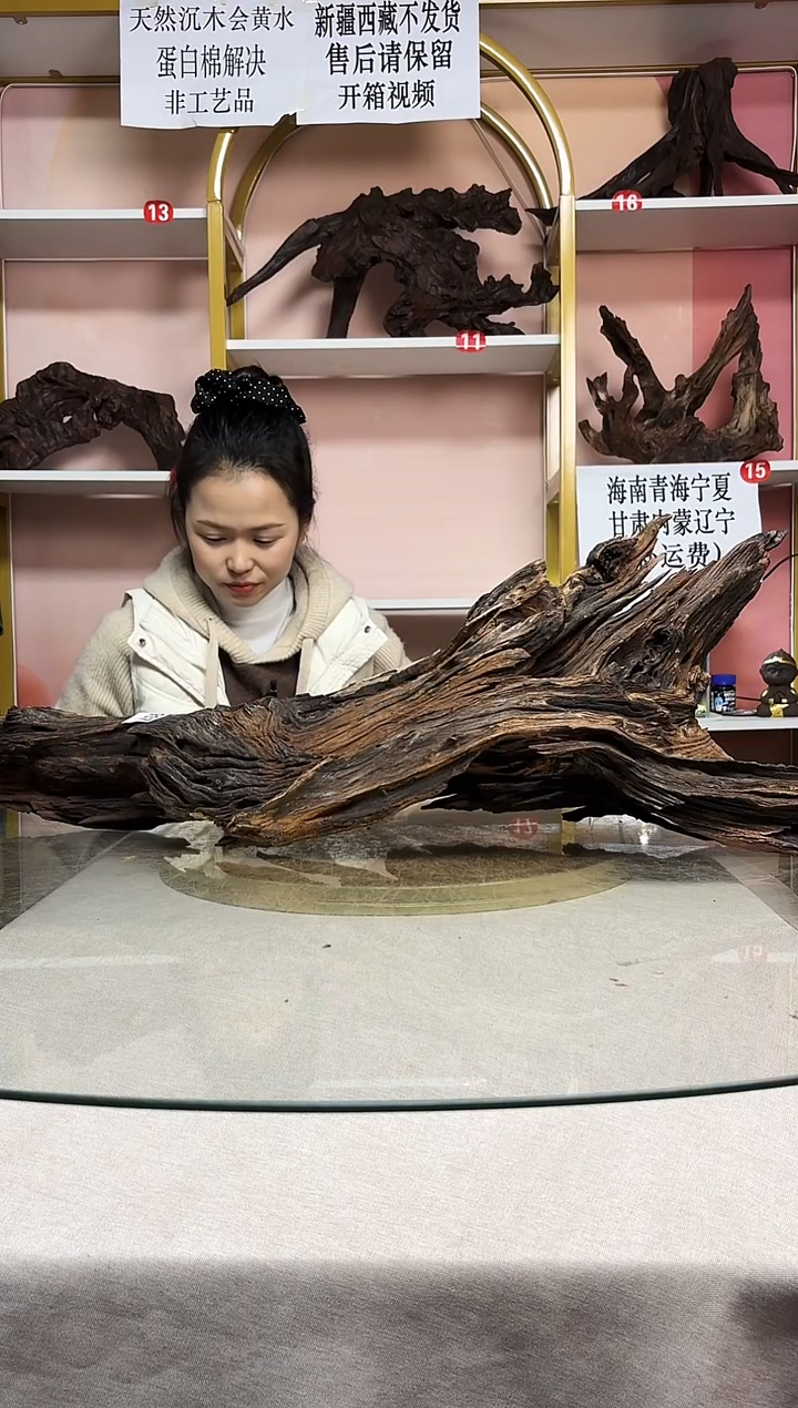 归*鱼缸造景沉木A937