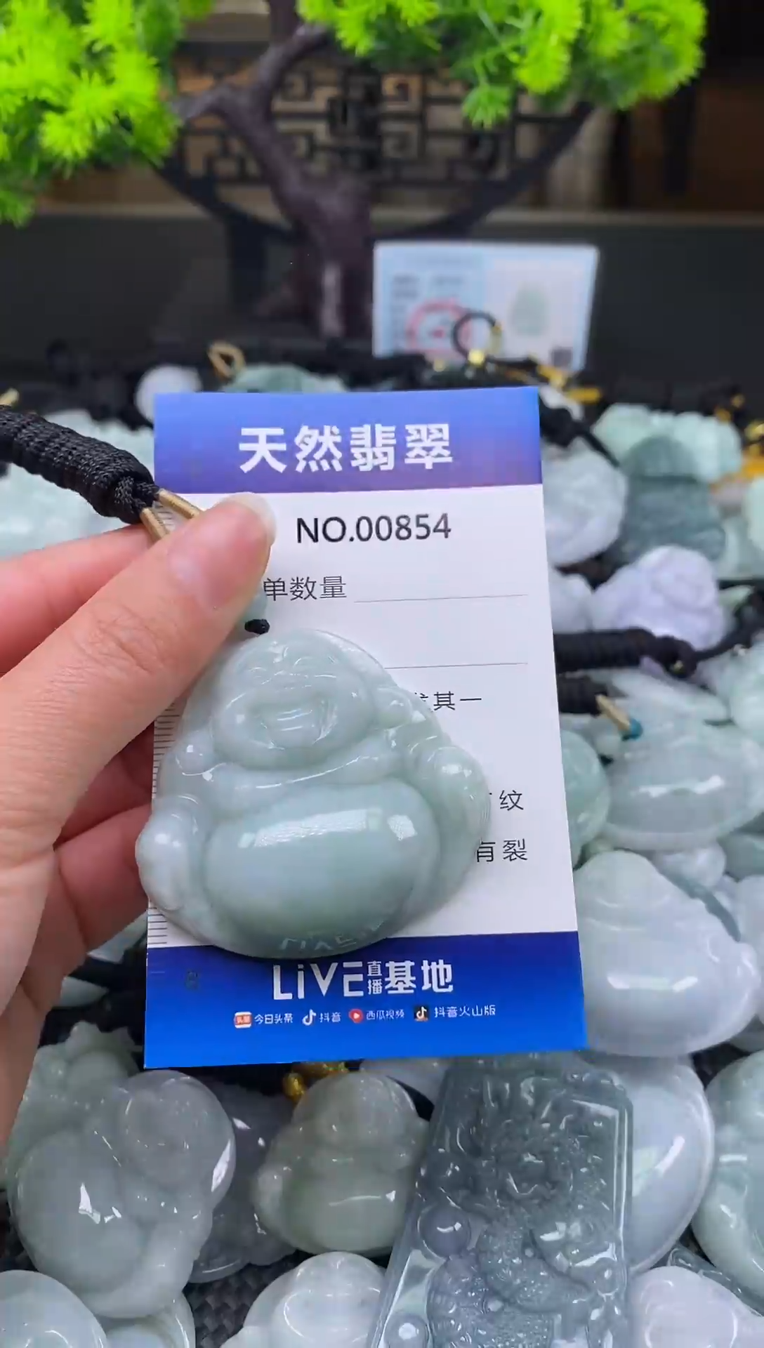 未镶嵌挂件翡翠天然缅甸翡翠854