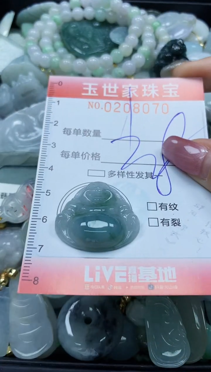 【闪购商品】翡翠颈饰未镶嵌闪购0208070