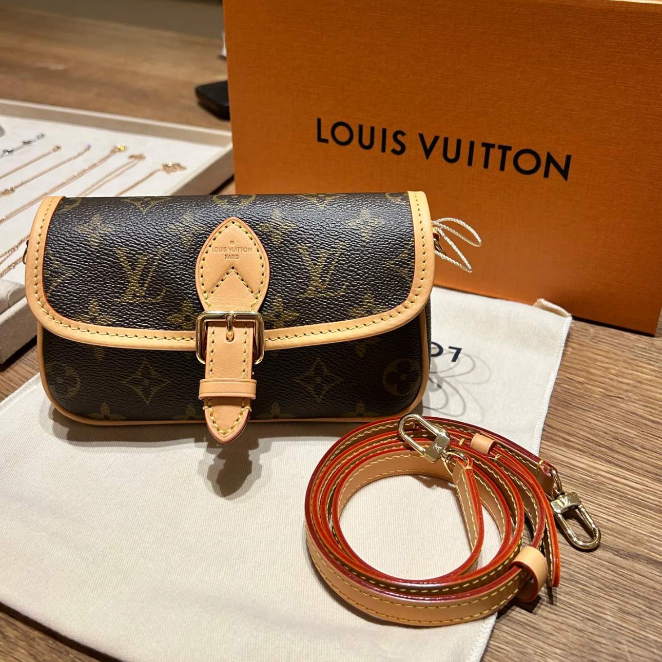 全新未使用 LouisVuitton/路易威登 【林泽】Diane法棍nano包