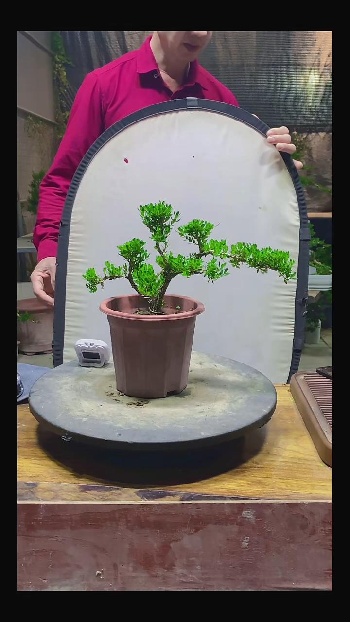 完全开放庆*111111111111