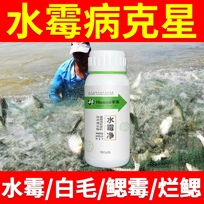 青鱼草鱼花白鲢翘嘴鱼武昌鱼鲫鱼鲤鱼鲈鱼鳜鱼防水霉