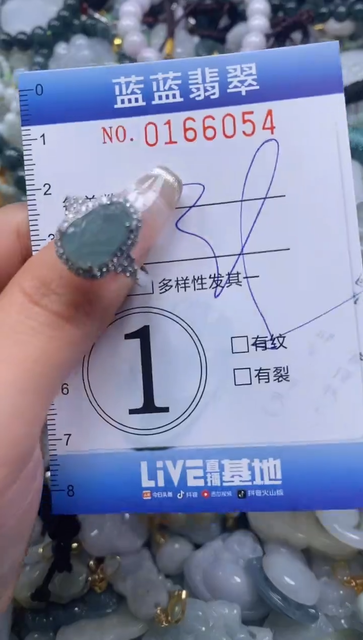 【闪购商品】翡翠颈饰未镶嵌闪购0166054