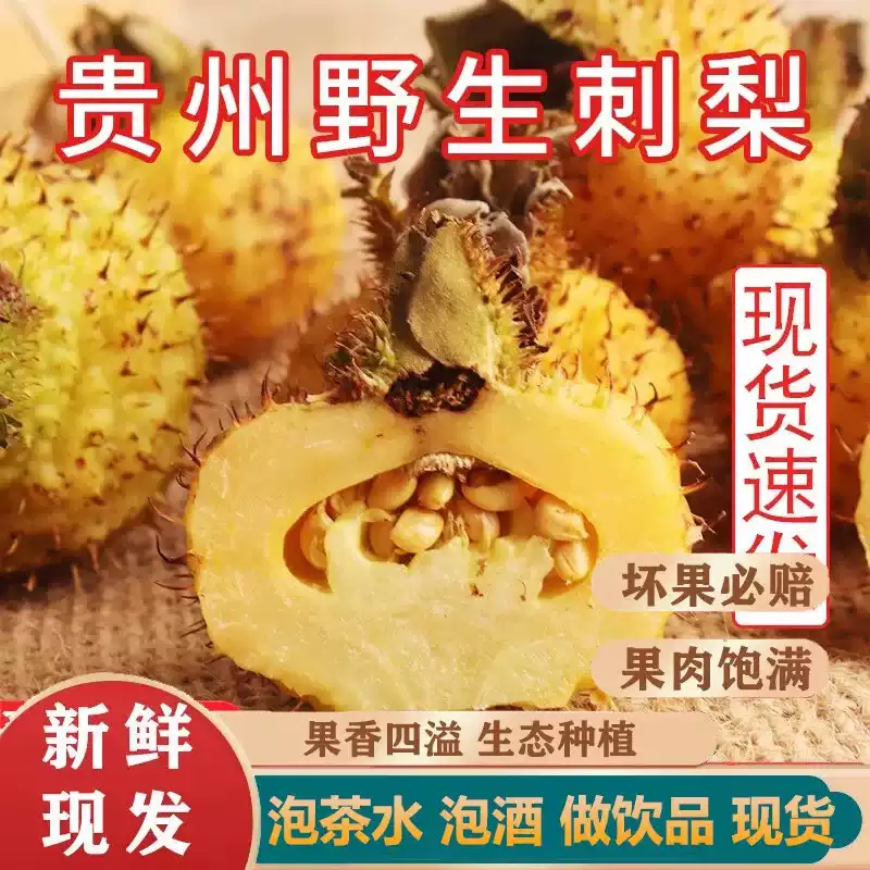 贵州野生刺梨鲜果整箱现摘现发新鲜刺力刺梨维c之王食用农产品
