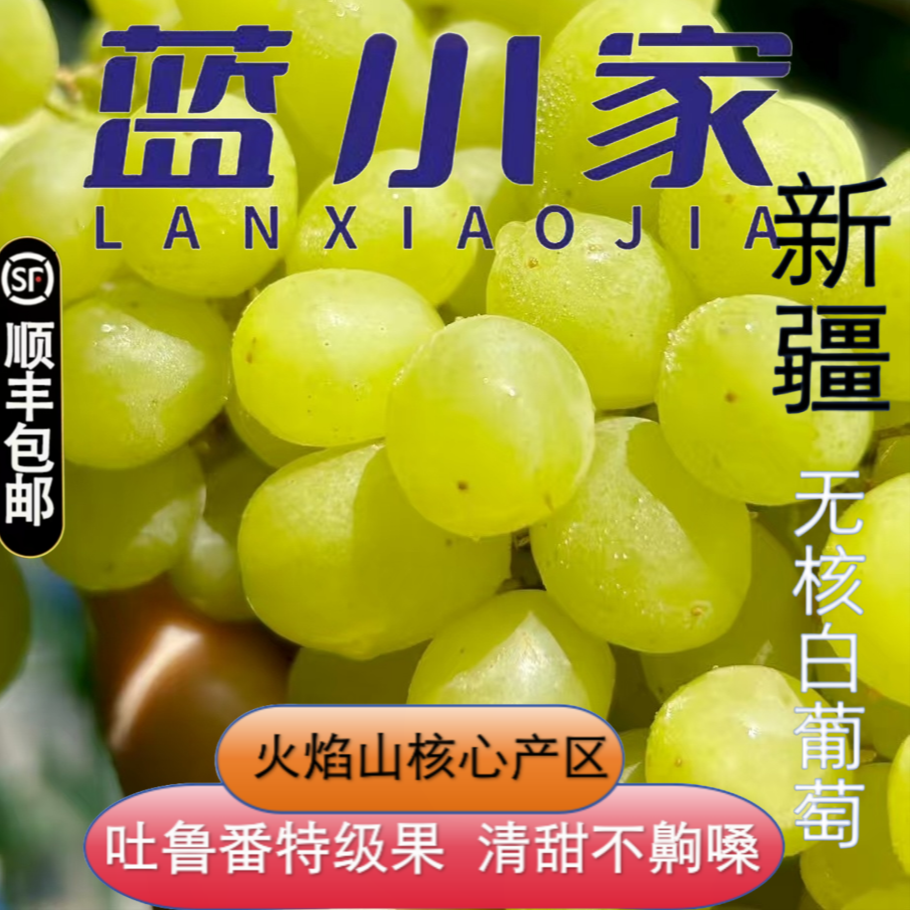 II【顺丰次日达】5斤更划算新疆吐鲁番新鲜葡萄当季无核白无籽现摘爆甜葡萄新疆维吾尔自治区