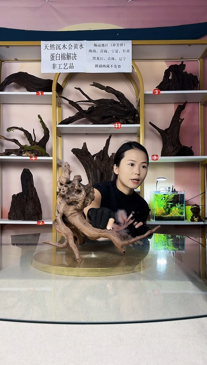 啸*啊SQCM紫柚木A169