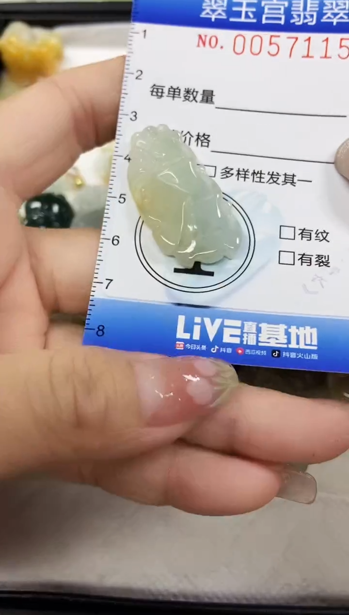 【闪购商品】翡翠颈饰未镶嵌闪购商品0057115