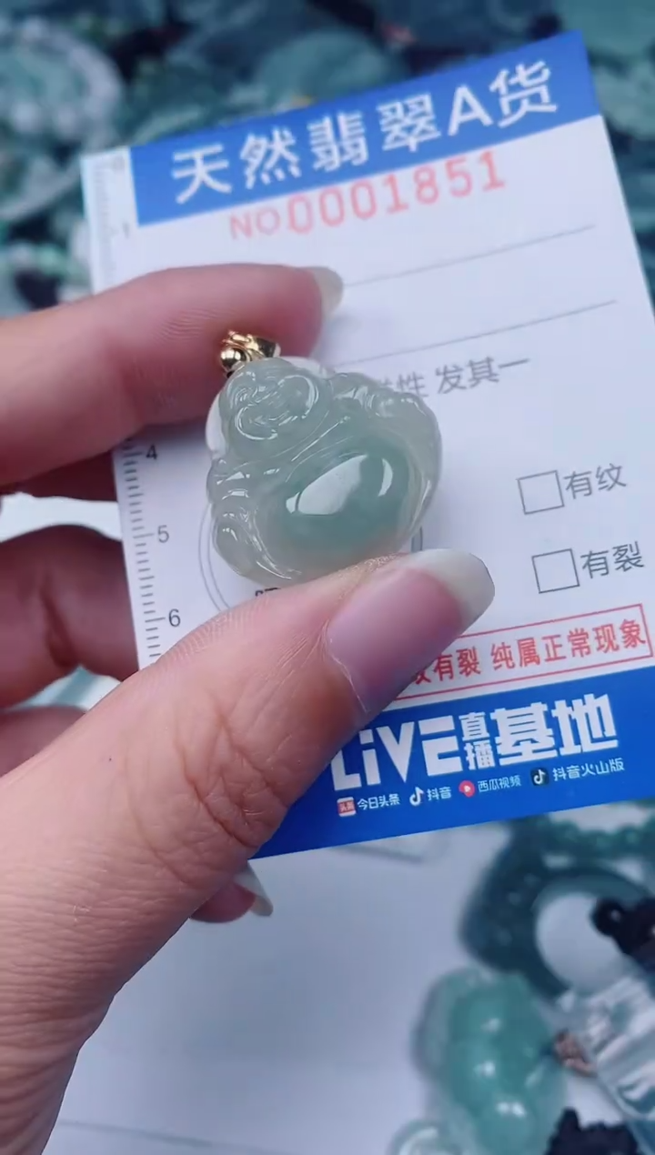 颈饰未镶嵌翡翠00001851