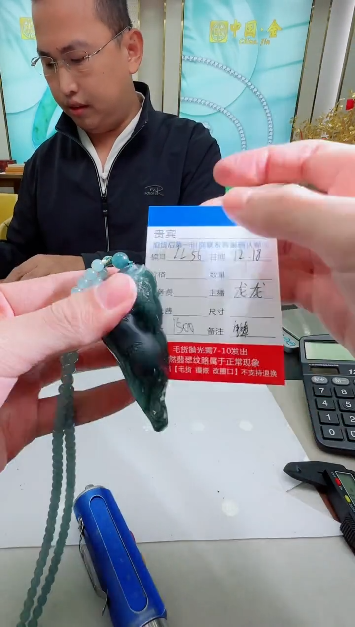 未镶嵌定制翡翠LL56翡翠吊坠赠珠链-多样性发其一