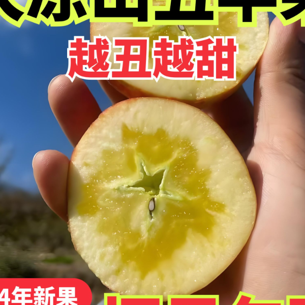 【福利专属】次日送达 大凉山糖心丑苹果
