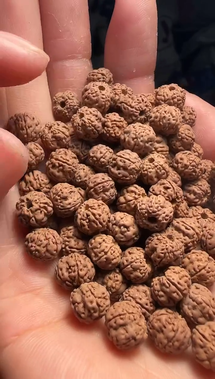 手串金刚菩提非全品老树玉梅花散籽8-9mm一份一百颗