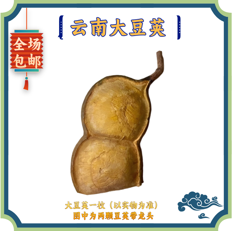 云南野生大豆荚 榼藤子 天然艺术品摆件 DIY 豆荚娃娃原材料
