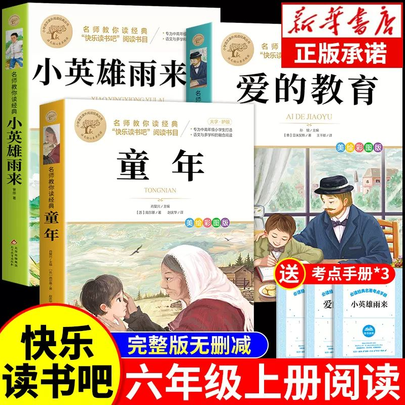 【龙图】快乐读书吧童年爱的教育小英雄雨来六年级上下册必读课外书