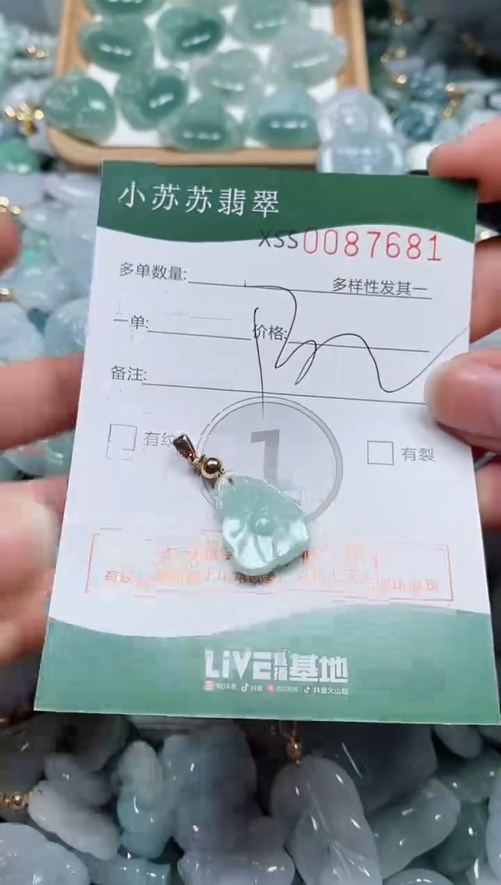 【闪购商品】翡翠颈饰未镶嵌闪购商品0087681