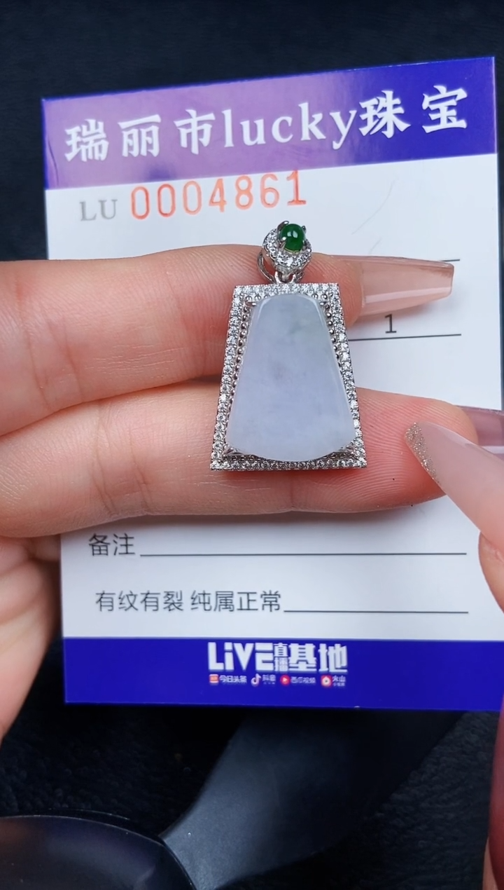 翡翠银S925镶嵌颈饰4861