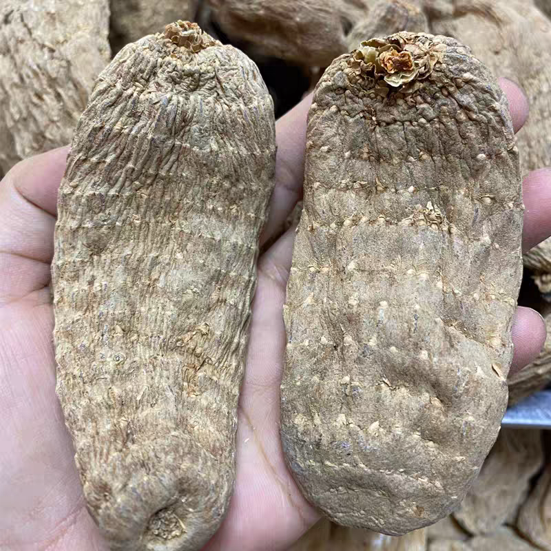 天麻整根乌天麻煲汤或者泡酒