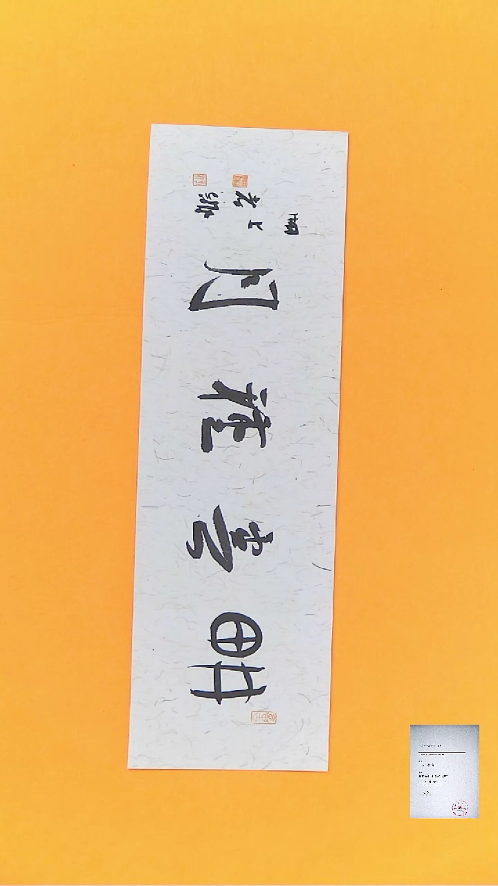 【闪购商品】书法江孝龙书法文创耕云种月11*40