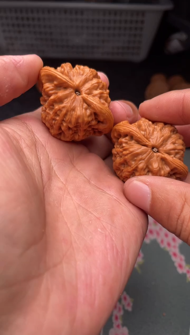 把件文玩核桃a185   金公子    42尺