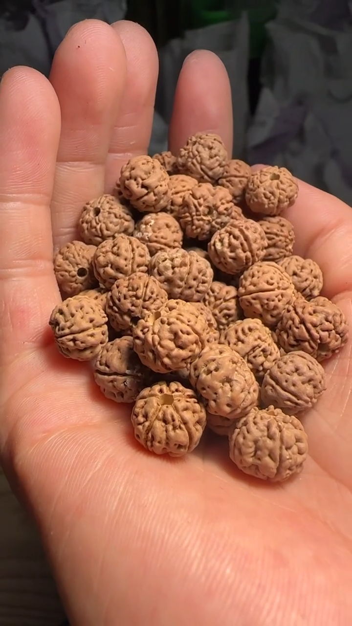 金刚菩提手串非全品老树王11-12mm左右散籽一份一百颗