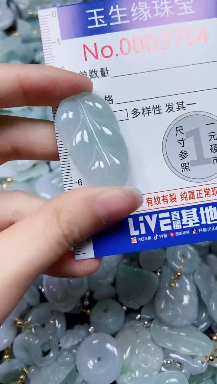 【闪购商品】翡翠颈饰未镶嵌闪购00003754