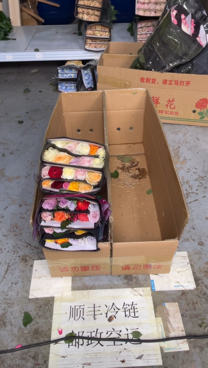 混色玫瑰40枝        