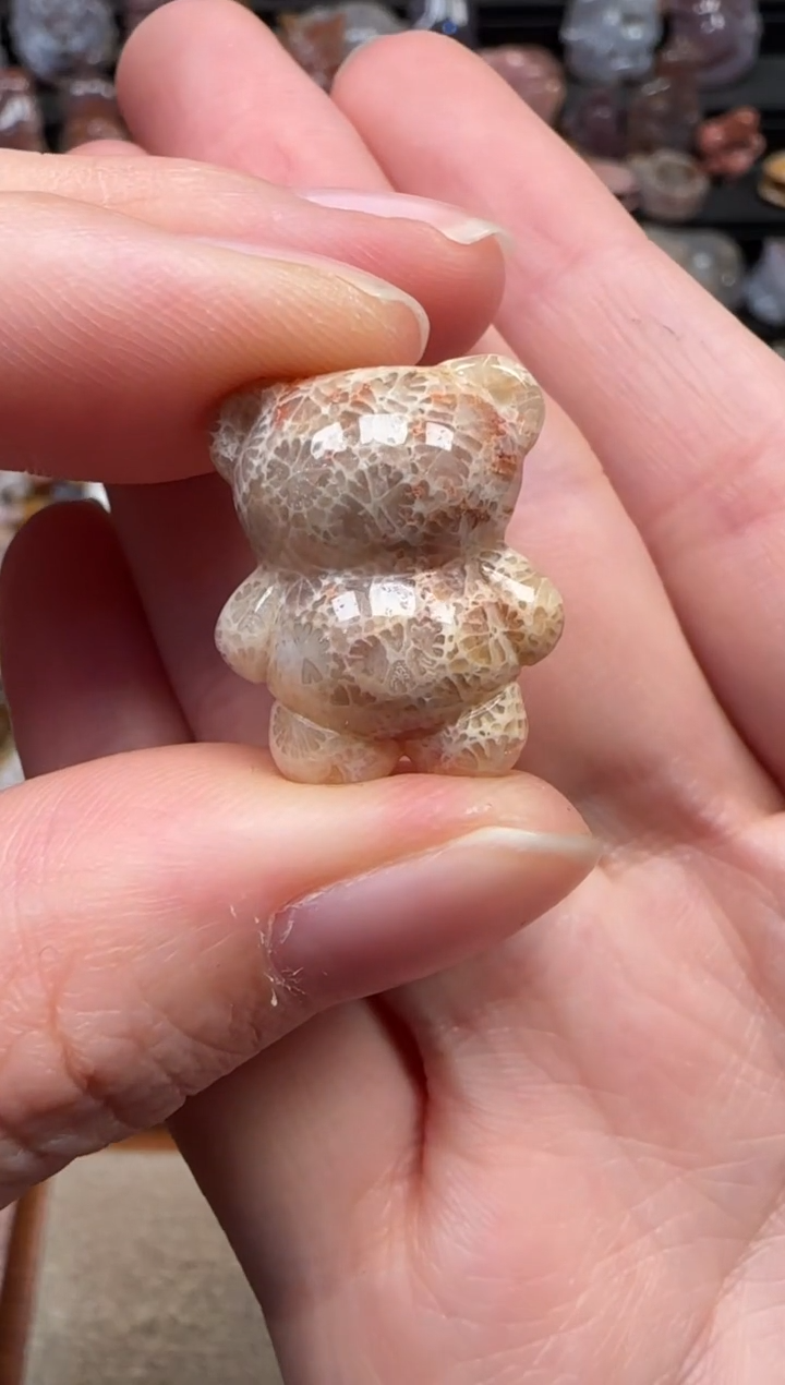 颈饰未镶嵌硅化珊瑚（珊瑚玉）030