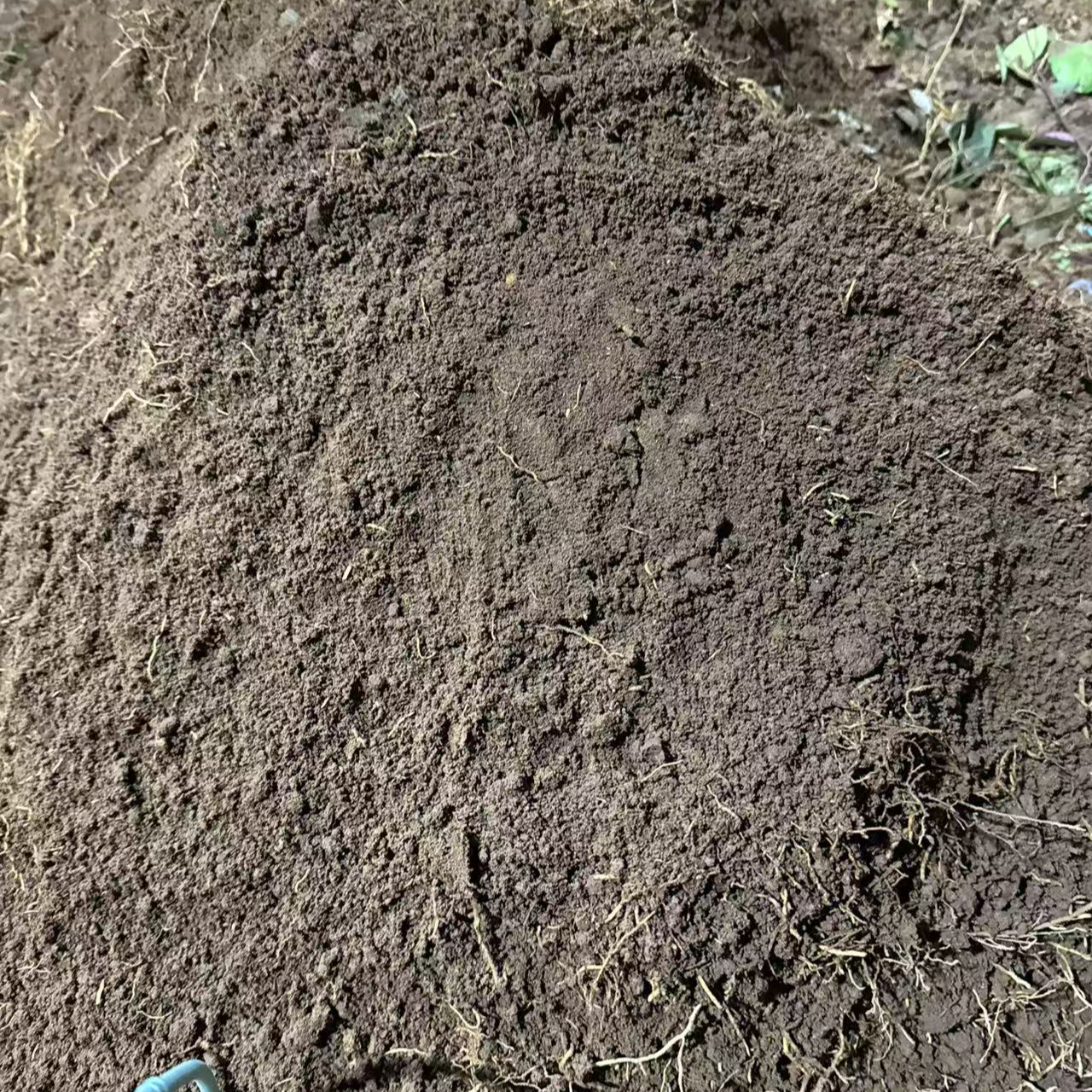 柠檬佛手用土沙土田园土