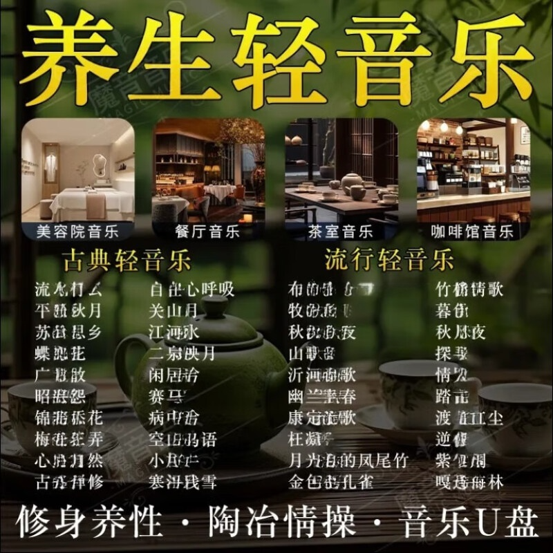 五音疗愈舒缓养生馆轻音乐无失真随身碟饭厅餐吧茶室专用音响歌曲