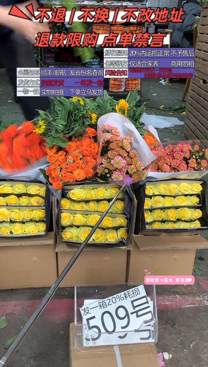 509号♥含20%耗损发一箱