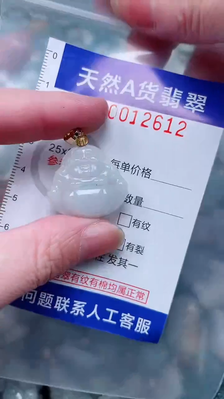 翡翠未镶嵌吊坠(不含链)1