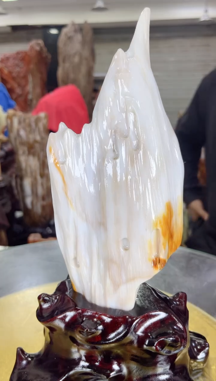 【闪购商品】硅化玉珠宝奇石未镶嵌缅甸天然树化玉