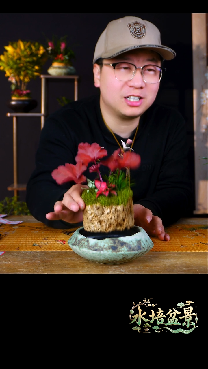 石云社一物一拍组合盆栽8