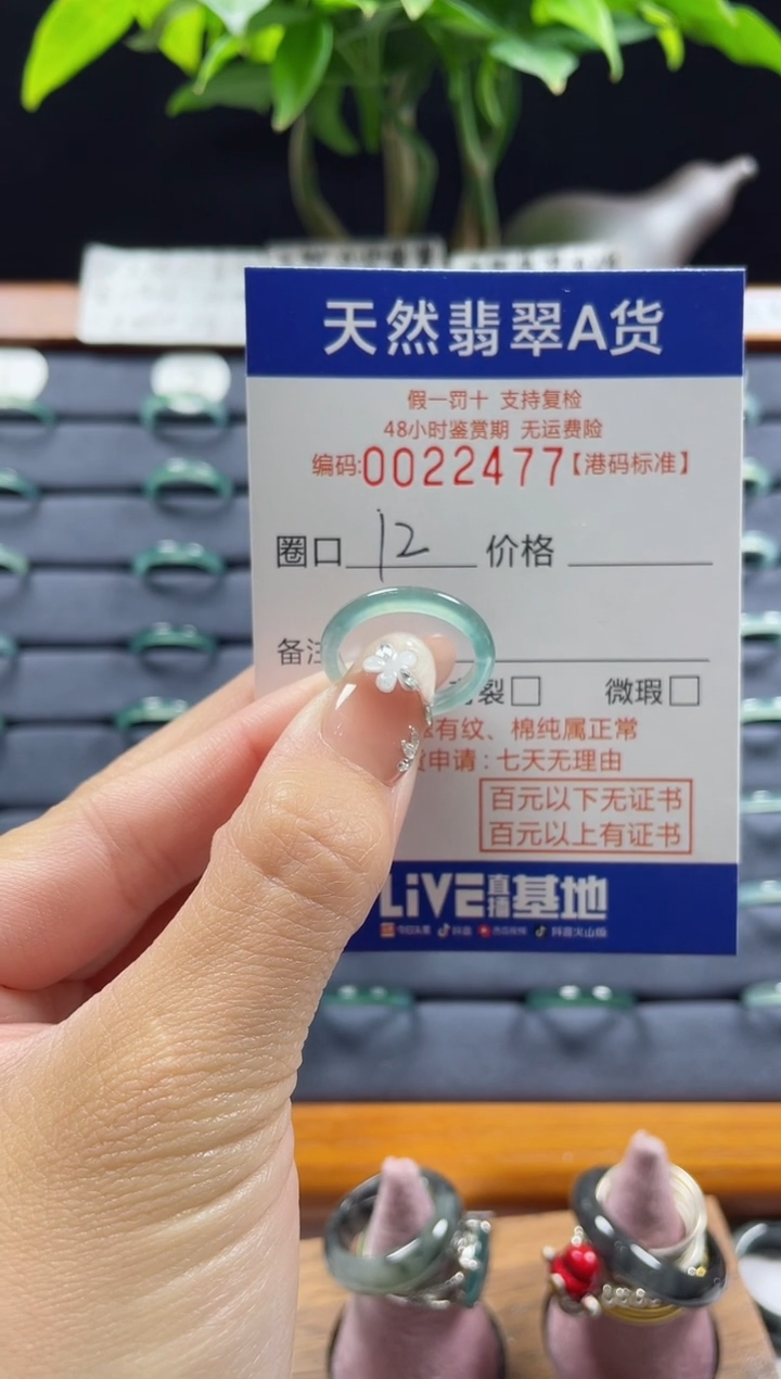【闪购商品】翡翠戒指未镶嵌天然翡翠戒指2477