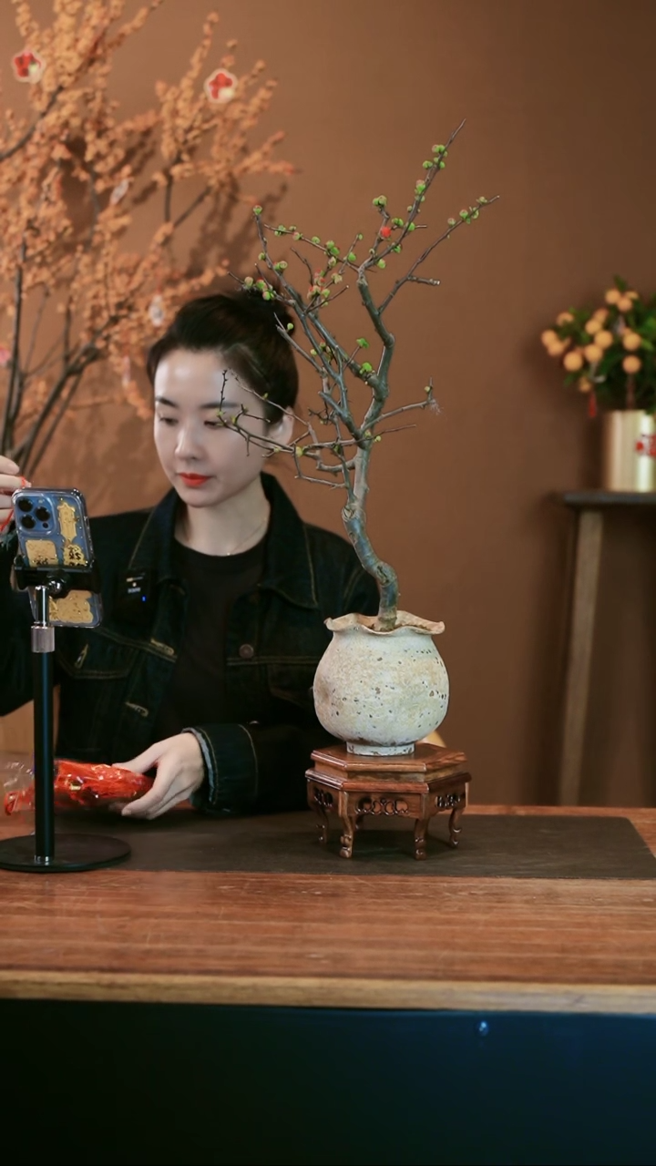 【闪购商品】盆景海棠花