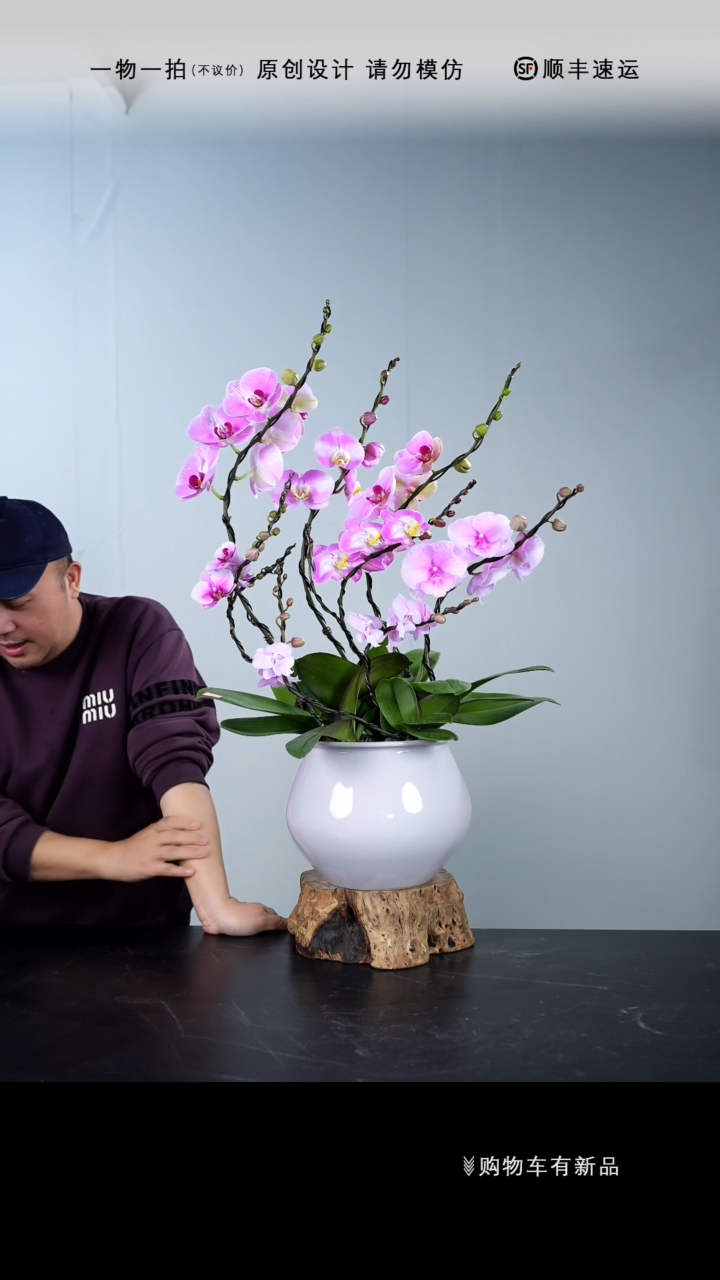 【闪购商品】038号链接【一物一拍】艺术盆景