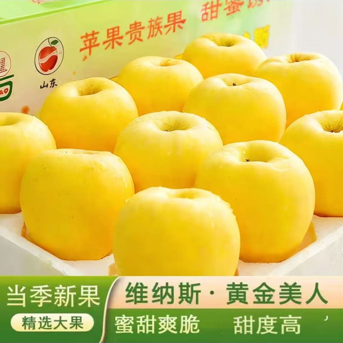 正宗烟台黄金维纳斯苹果纯甜无酸冰糖心脆甜可口新鲜当季水果采摘