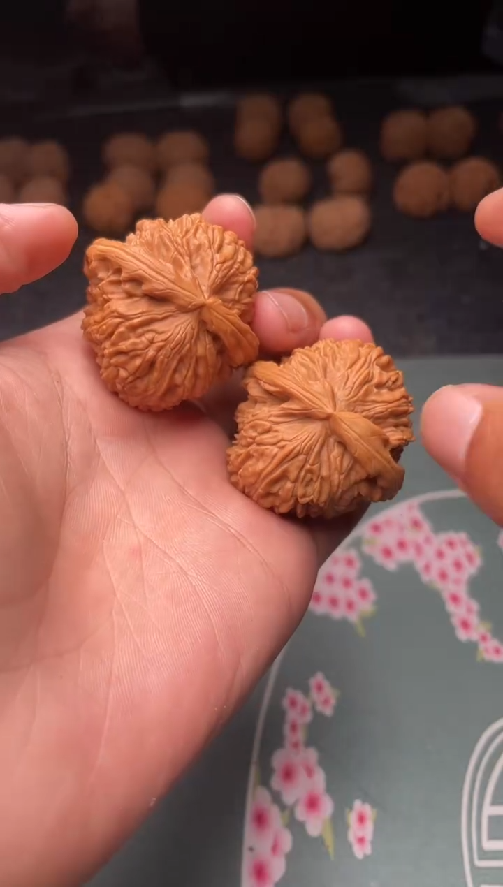 核桃a283  白狮子40尺