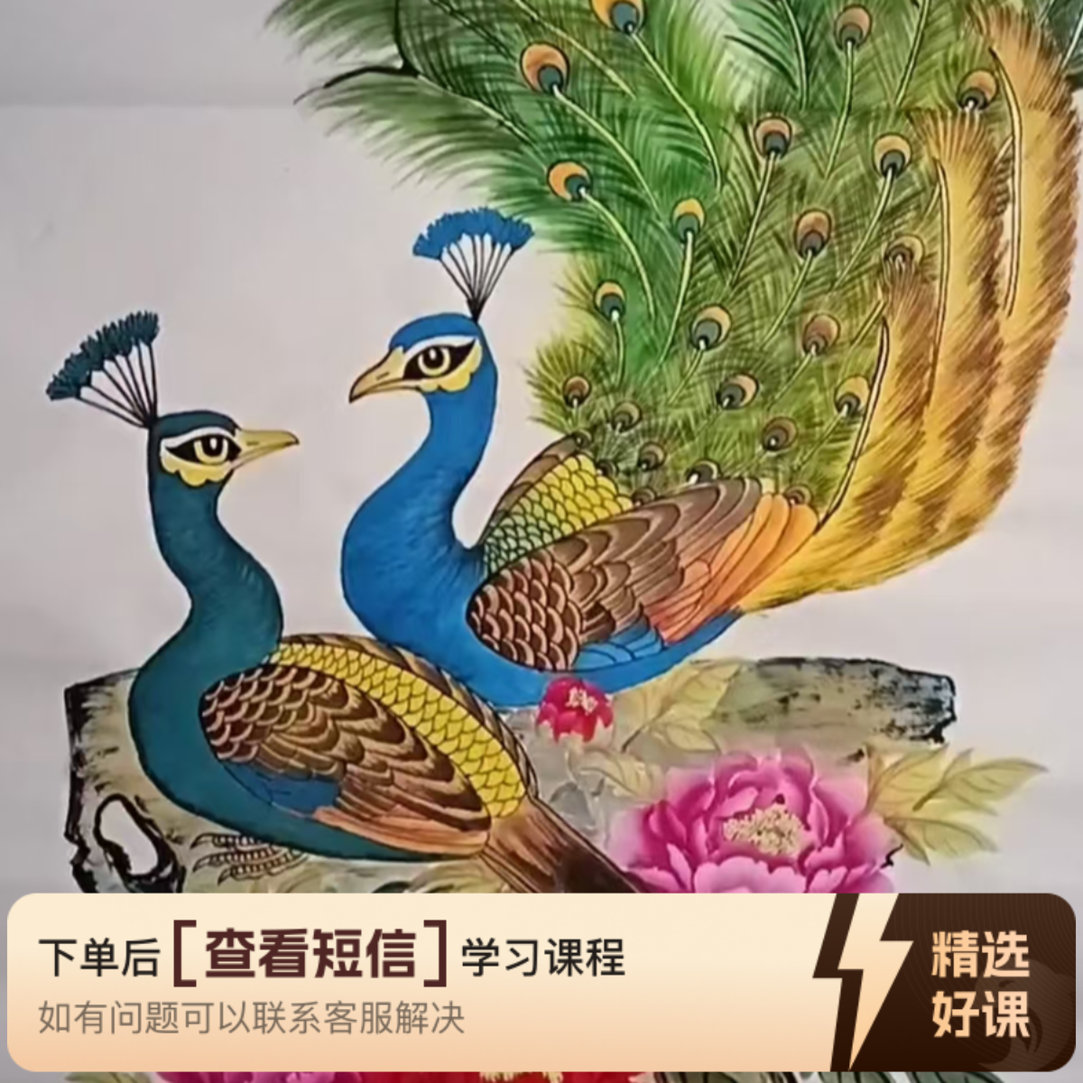 兰心阁2025年孔雀直播回放课之一（留意短信解锁课程）