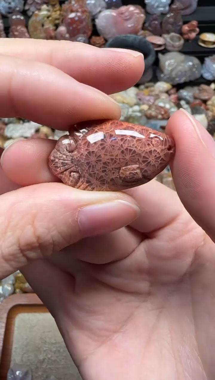 颈饰未镶嵌硅化珊瑚（珊瑚玉）776